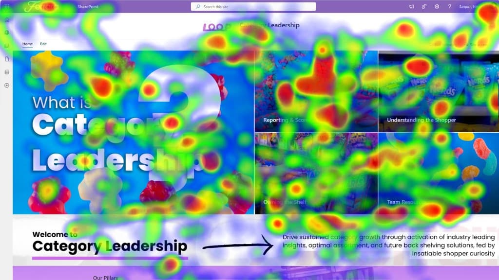 Ferrara Category Leadership SharePoint site with eye-tracking heatmap overlay